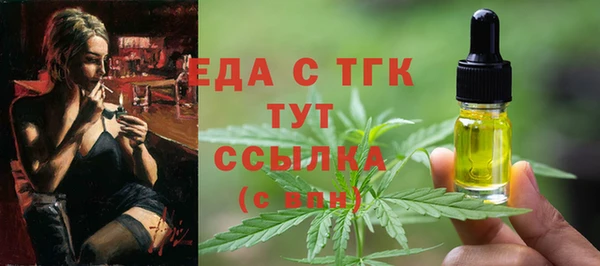 тгк Каменка