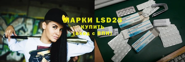 тгк Каменка