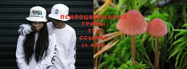 тгк Каменка