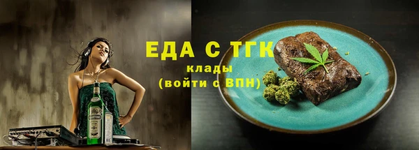 тгк Каменка