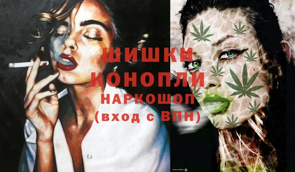 молекула духа Каменск-Шахтинский