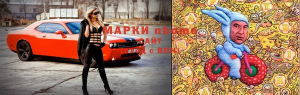 молекула духа Каменск-Шахтинский