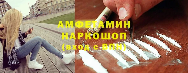 тгк Каменка