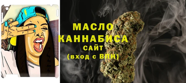 молекула духа Каменск-Шахтинский