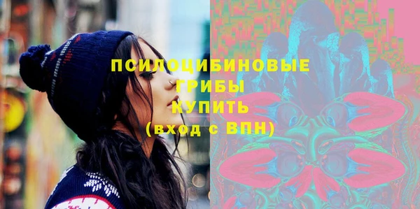 тгк Каменка